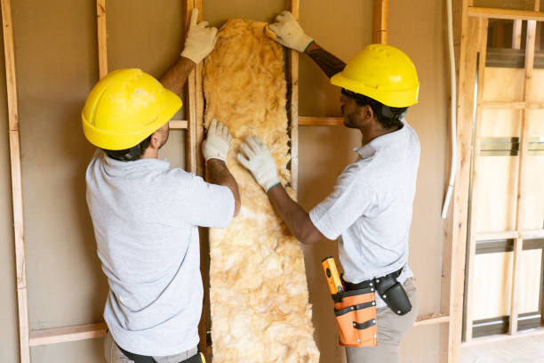 Eco-Friendly or Green Insulation Solutions in Jal, NM